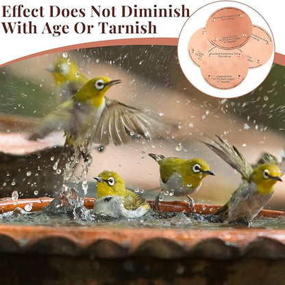 1 Pcs Bird Bath Copper Disk, 0.6mm Thick Reinforced 99.99% Pure Copper Birdbath - Image 7