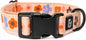 Lucy & Co. Let's Groove Adjustable Dog Collar- Cute Designer Pet Collar by LucyCo