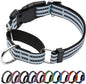 Martingale Dog Collar, Adjustable Nylon Reflective Collar by JOYEEIIOO