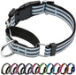 Martingale Dog Collar, Adjustable Nylon Reflective Collar by JOYEEIIOO