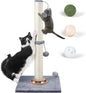 Fantasreen 31" Cat Scratching Post Kitten Toys by Fantasreen