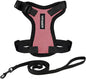 Voyager Escape-Proof Step-in Lock Cat Harness & 5ft Neoprene-Handle Leash Set by BestPetSuppliesLLC
