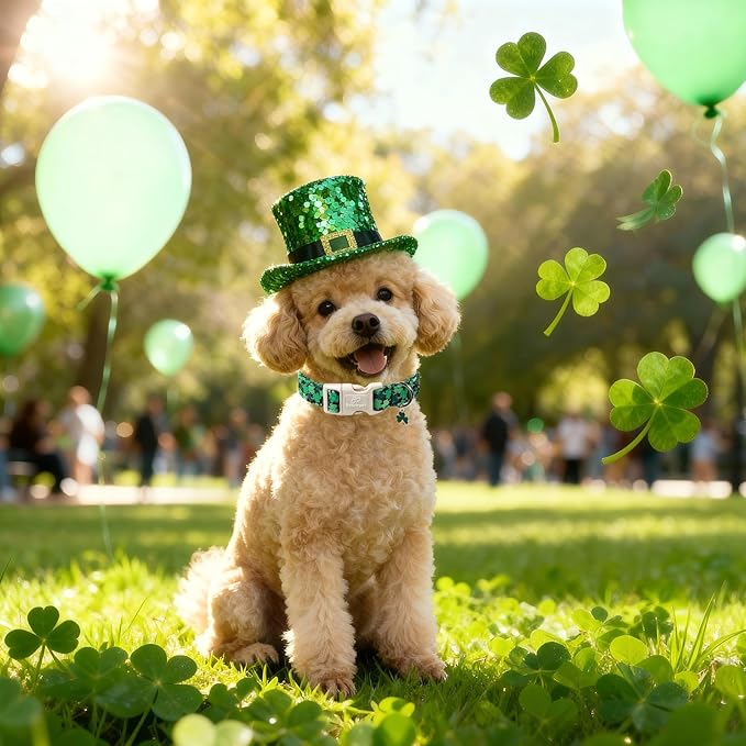 St Patricks Day Dog Collar for Giant Large Dogs - Image 2