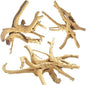 Jorewood Natural Large Spiderwood Driftwood by JOREWOOD