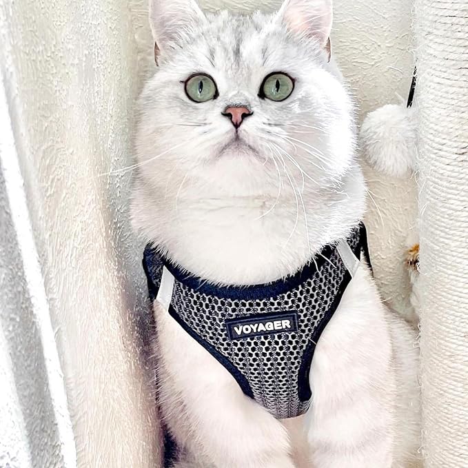 Best Pet Supplies Voyager Step-in Air Harness - Image 8