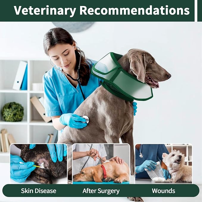 Allroaring Dog Cone Collar After Surgery, Soft Dog Cones - Image 6
