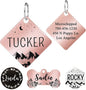 Ultra Joys Stainless Steel Pet ID Dog Name Tag by UltraJoys