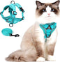Cat Harness and Leash for Walking, Escape Proof Soft Adjustable Vest Harnesses by Jiiberl