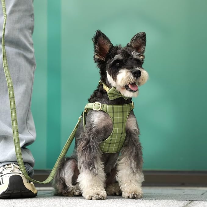 Beirui Cute Small Dog Harness Collar and Leash Set - Image 3