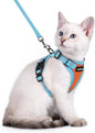 rabbitgoo Cat Harness and Leash Set, Escape Proof Soft Adjustable Vest Harnesses by rabbitgoo