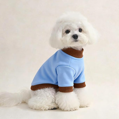 Custom Dog Hoodie, Personalized Sweatshirt - Image 5