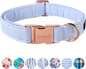 Unique style paws Dog Collar Metal Buckle Blue Stripe Collar Gift Durable Cute by Uniquestylepaws