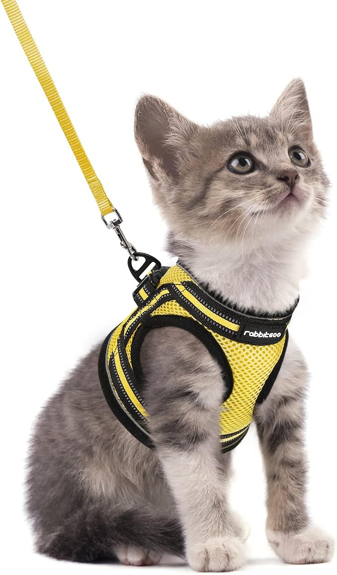 rabbitgoo Cat Harness and Leash Set by rabbitgoo