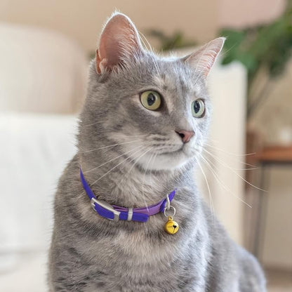 CollarDirect Leather Cat Collar - Image 6