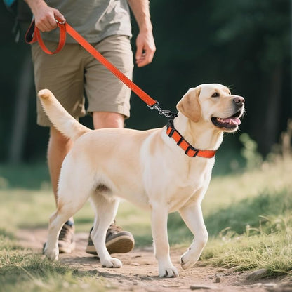 Joytale Reflective Dog Collar, Soft Neoprene Padded Breathable Nylon Pet Collar - Image 6