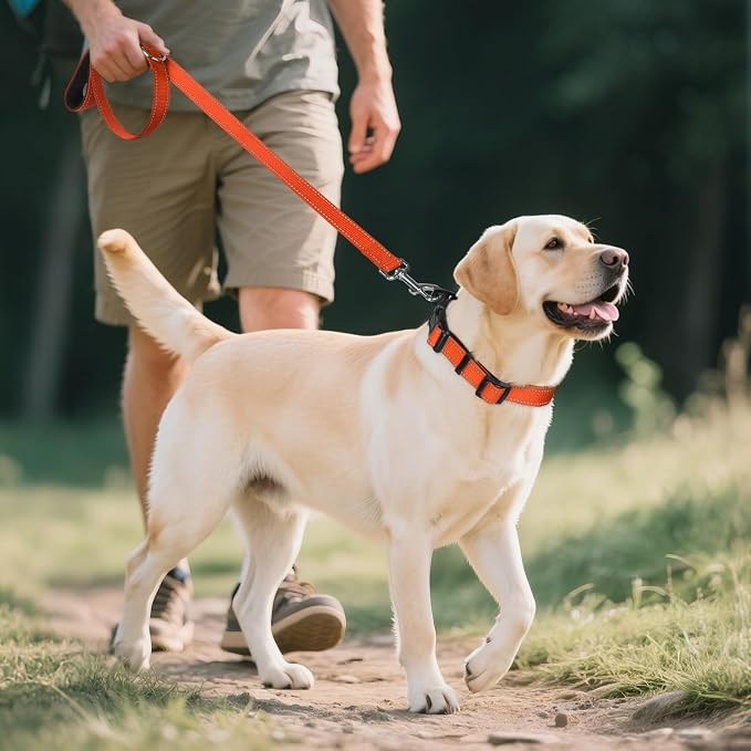 Joytale Reflective Dog Collar, Soft Neoprene Padded, Metal D-Ring, Nylon Pet - Image 6