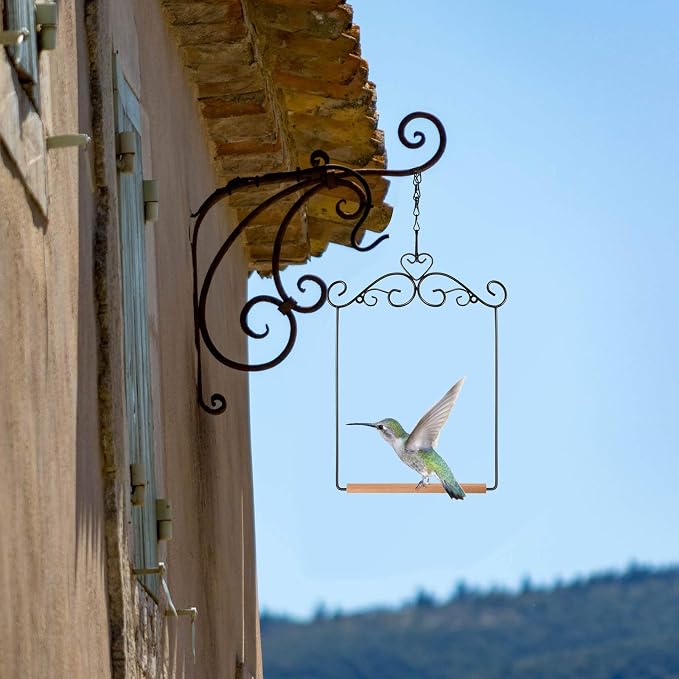 Hotop 2 Pcs Hummingbird Swings and Perches Metal Frame Bird Swing - Image 7