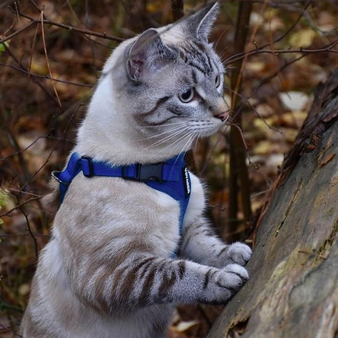 Voyager Escape-Proof Step-in Lock Cat Harness & 5ft Neoprene-Handle Leash Set - Image 6