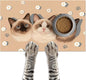 Cat Feedings Mats 20x12 inch Cute Cat Print Pet Bowl Placemat Non Slip Mat by HOMETITUTE