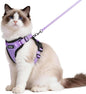 rabbitgoo Cat Harness and Leash by rabbitgoo