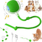 Interactive Electric Automatic Rolling Moving Rechargeable Self Play by Unknown