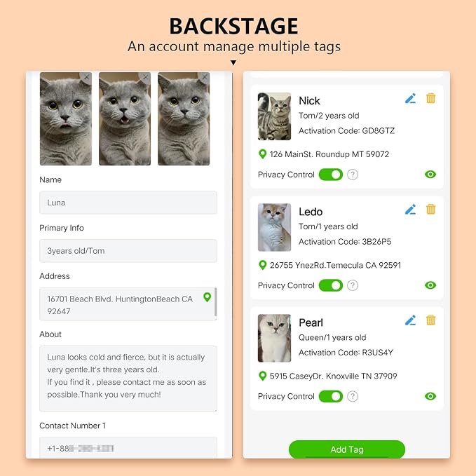 6 Pack Breakaway Cat Collar - Image 9