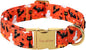 Unique style paws Dog Collar Metal Buckle Collar by Uniquestylepaws