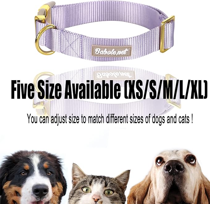 Nylon Dog Collar - Image 8