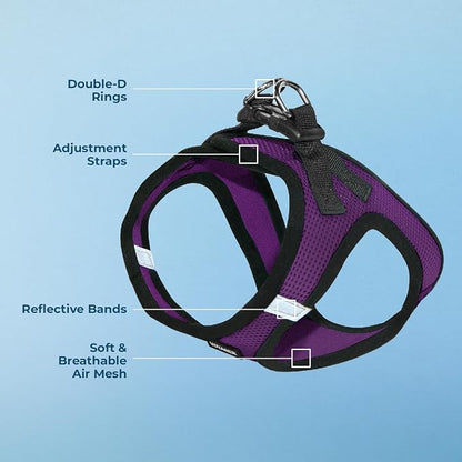 Best Pet Supplies - Image 3