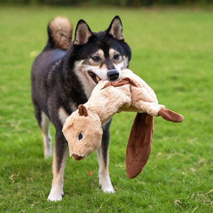 Best Pet Supplies Squeaky Dog Toys - Image 6