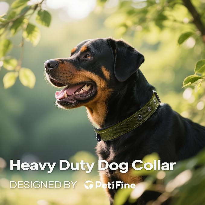 PetiFine Dog Collar for Large Dogs, Neoprene Padded and Adjustable, Reflective - Image 2