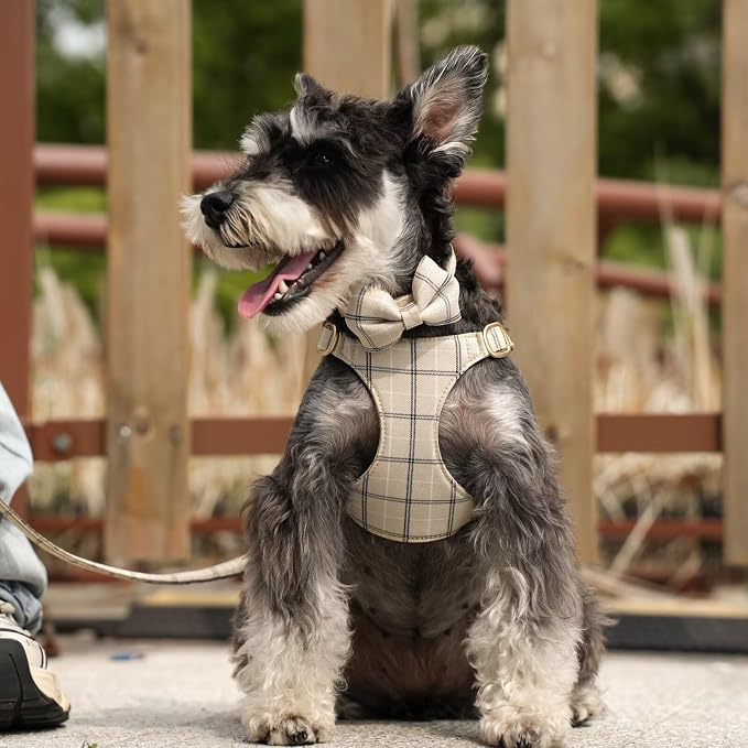 Beirui Cute Extra Small Dog Harness Collar and Leash Set - Image 3