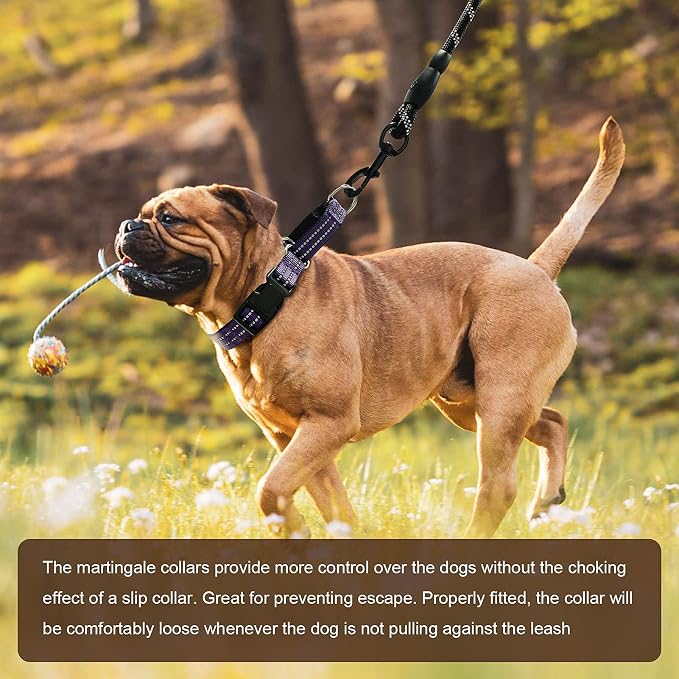Hikiko Martingale Collar for Dogs Reflective Nylon Dog Collar - Image 5