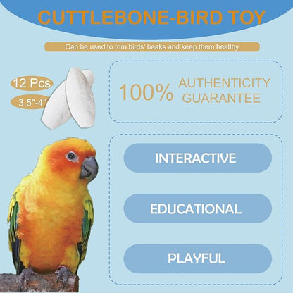 Jmxu's 3.5"-4" Cuttlebone for Birds Natural Cuddle Bone for Parakeets, - Image 3