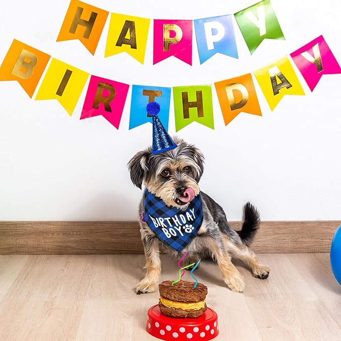 Dog Cat Birthday Party Supplies, Dog Cat Birthday Decorations Hat Bandana Bow - Image 7
