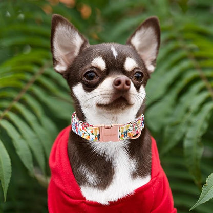 Unique style paws Dog Collar Metal Buckle Colorful Flower Collar Gift Durable - Image 4