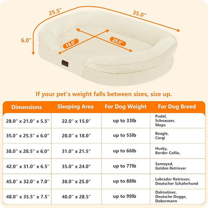 Dwanton Orthopedic Dog Bed for Medium Dogs - Image 4