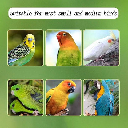 Automatic Acrylic Bird Feeder for Cage, No Mess - Image 4