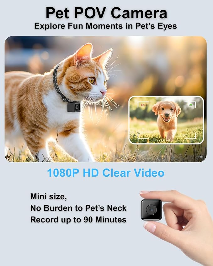 Dog Camera Collar 1080P HD Video Recording Pet POV Cam, NO WiFi NO APP - Image 2