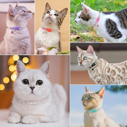 Rhinestone Cat Collar Breakaway - Image 4