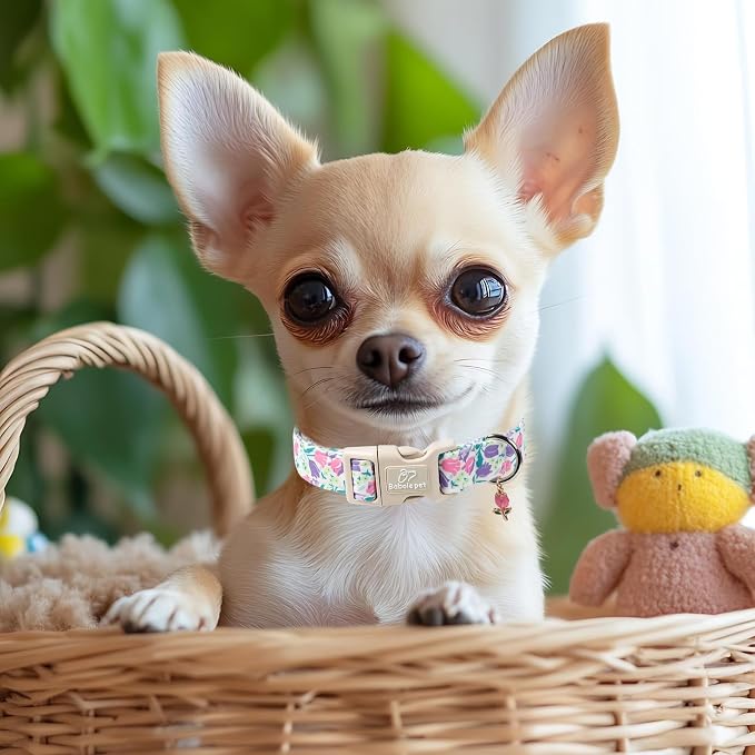 Floral Dog Collar for Large Dogs - Image 5