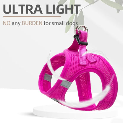 PUPTECK Adjustable Dog Harness Collar and Leash Set Step in No Pull Pet Harness - Image 5