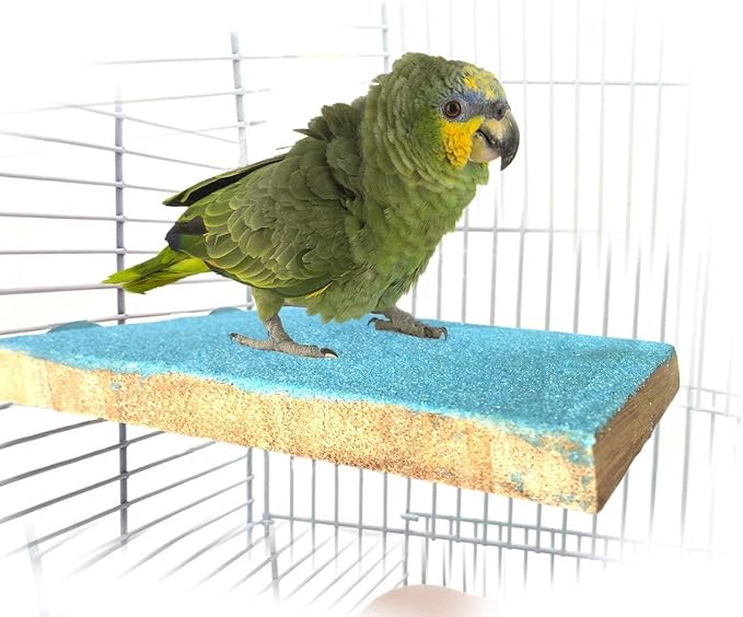 Litewoo Bird Perch Grinding Stand - Image 7
