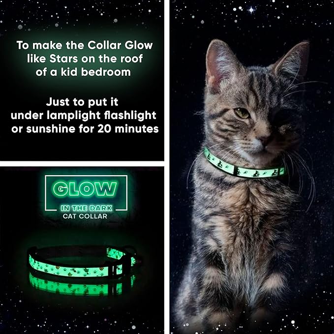 Pawtitas Halloween Cat Collars for Cats Adjustable Collar Glow in The Dark - Image 3