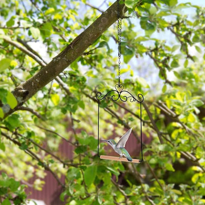 Hotop 2 Pcs Hummingbird Swings and Perches Metal Frame Bird Swing - Image 6