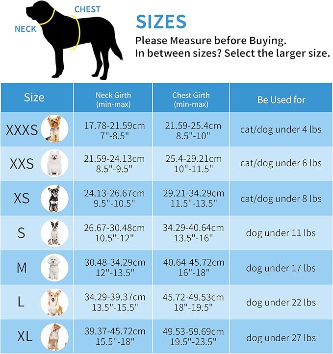 AIITLE Easy Walk Dog Harness and Leash Set - Image 10