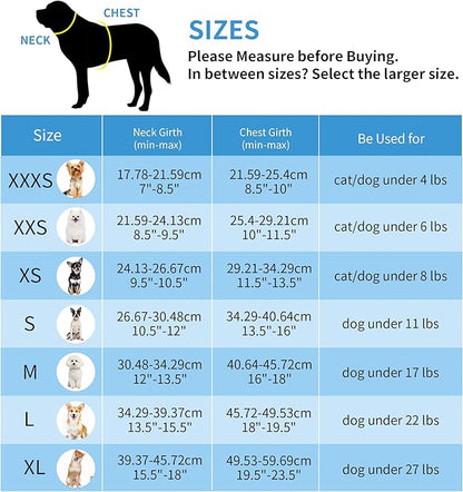 AIITLE Easy Walk Dog Harness and Leash Set - Image 10