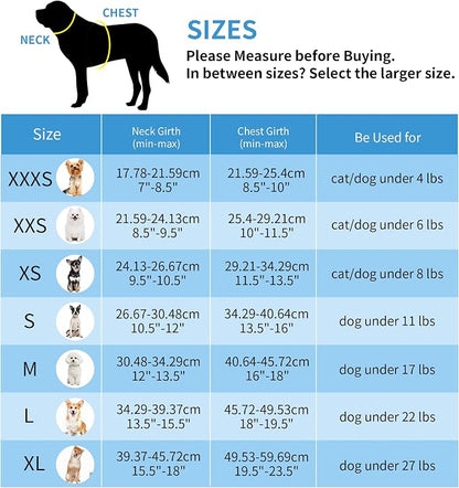 AIITLE Small Harness for Puppy - Image 9