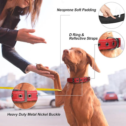 PetiFine Dog Collar for Large Dogs, Neoprene Padded and Adjustable, Reflective - Image 2