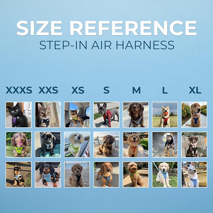 Best Pet Supplies - Image 7